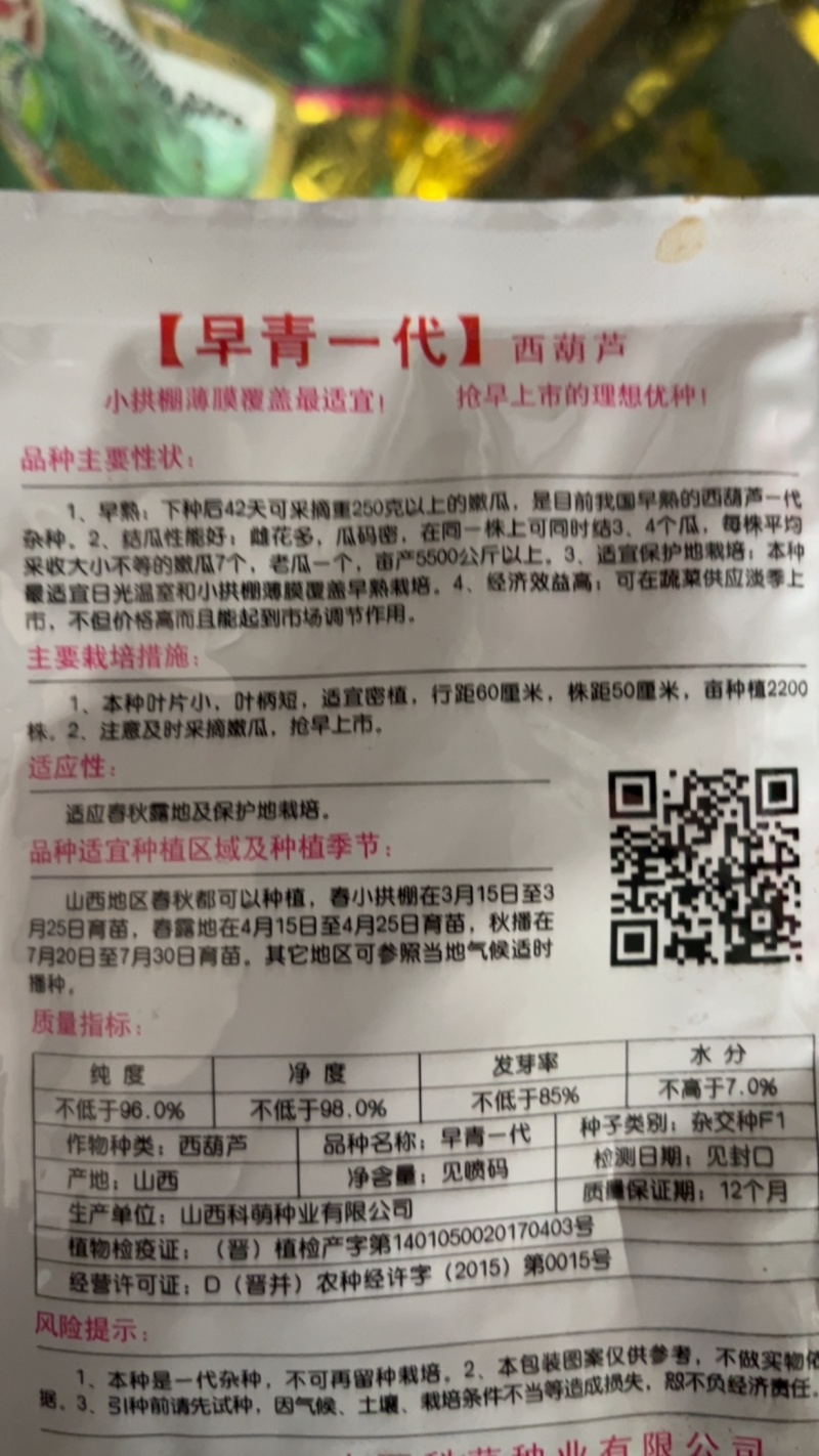 早青一代杂交西葫芦早熟