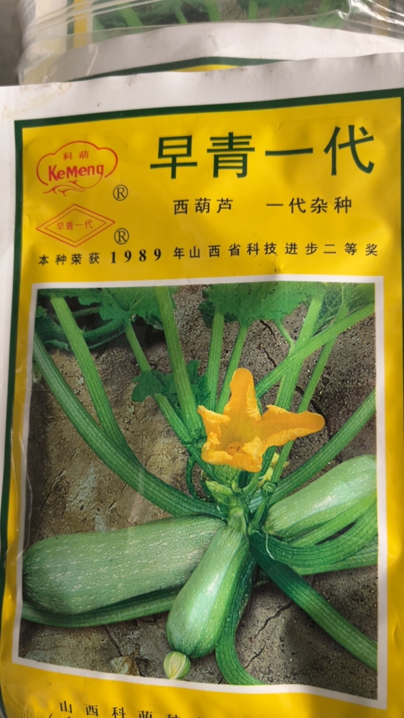 早青一代杂交西葫芦早熟