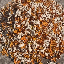 正宗茶枝柑陈皮