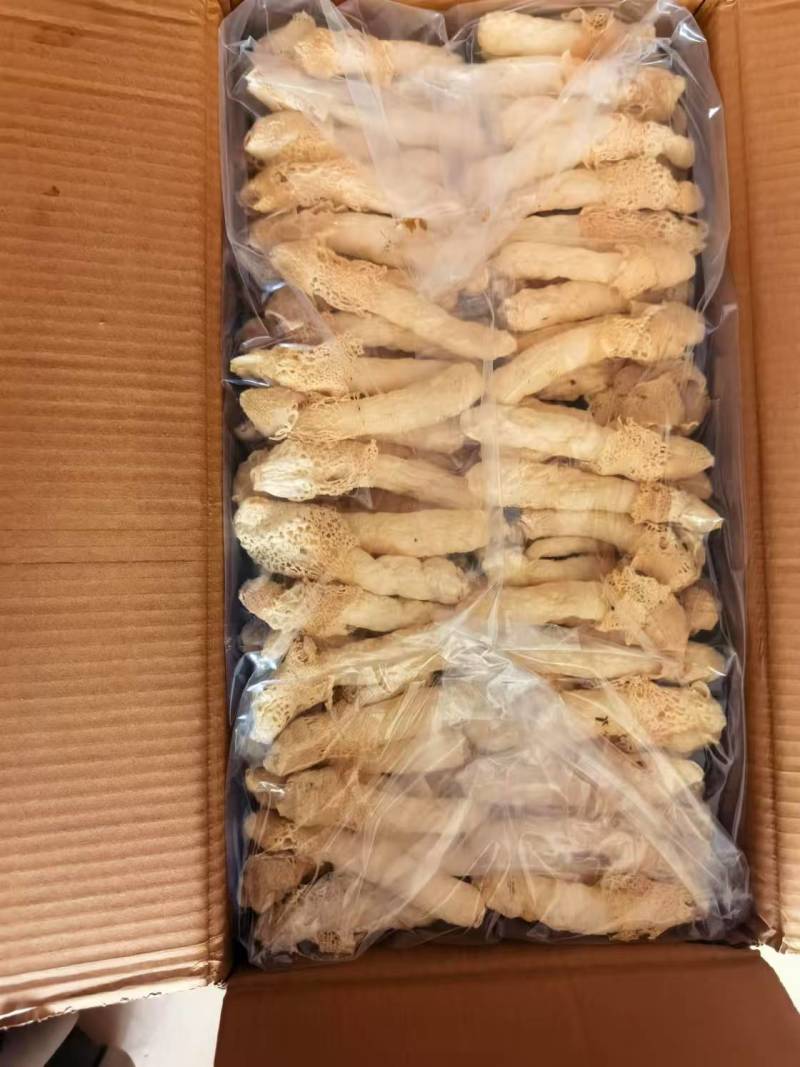 贵州红托竹荪产地直发量大从优干货蘑菇