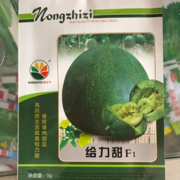 杂交甜瓜早熟绿皮绿肉抗病耐低温
