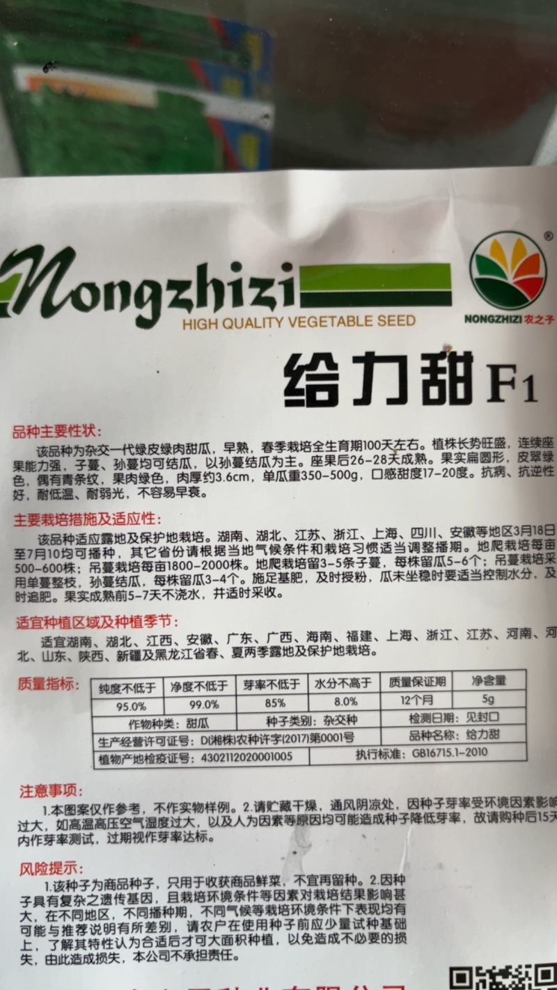 杂交甜瓜早熟绿皮绿肉抗病耐低温
