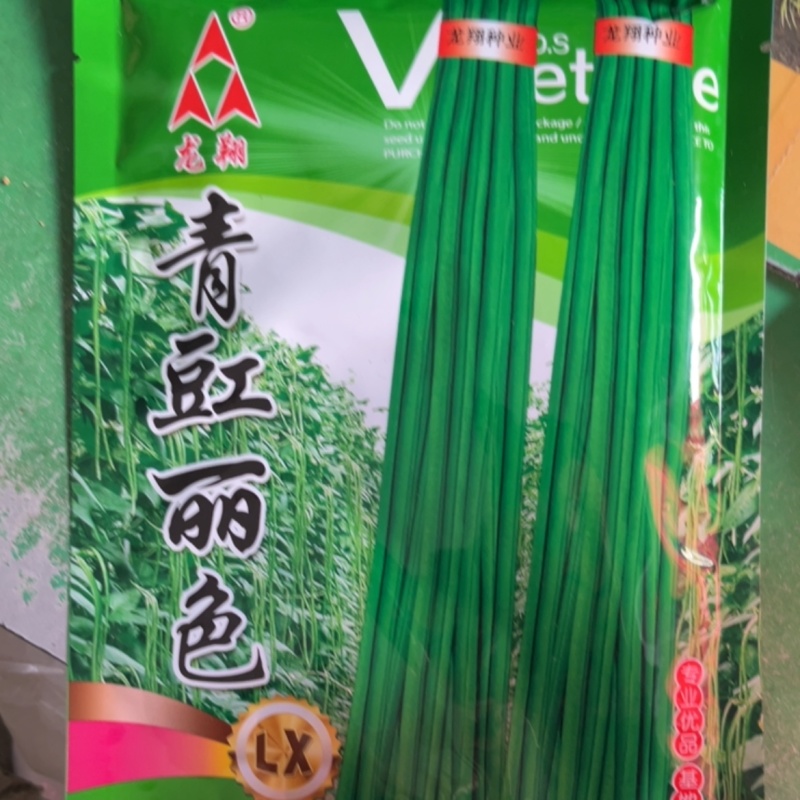 绿将军豆角种子长豆角种子青条豆角种子绿条豆角种子