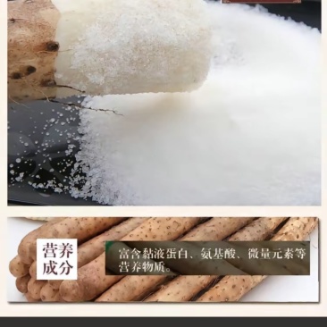 河北正宗的麻山药，产地直发，好吃不贵，快来选购吧