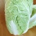 白菜黄心白菜产地一手货源对接全国市场等量大优惠