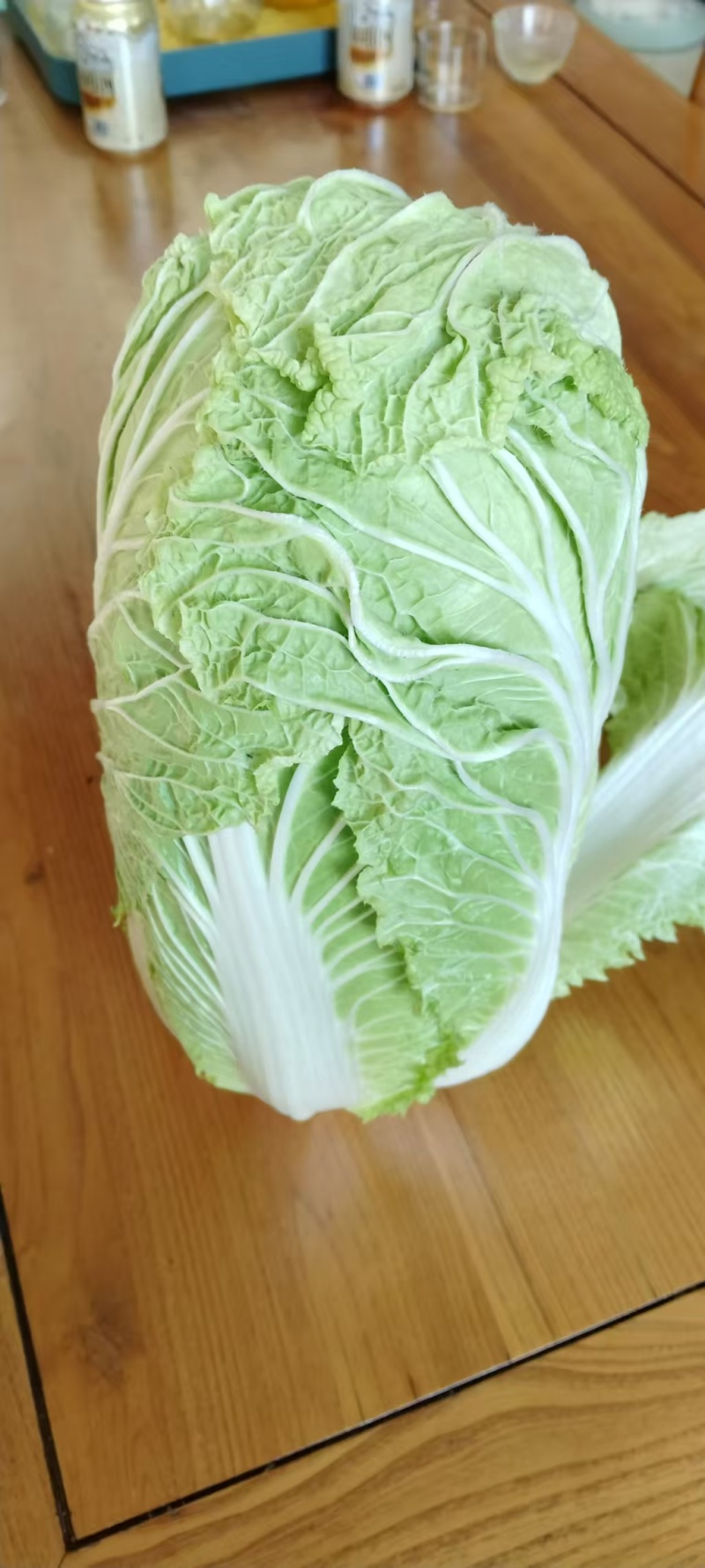 白菜黄心白菜产地一手货源对接全国市场等量大优惠