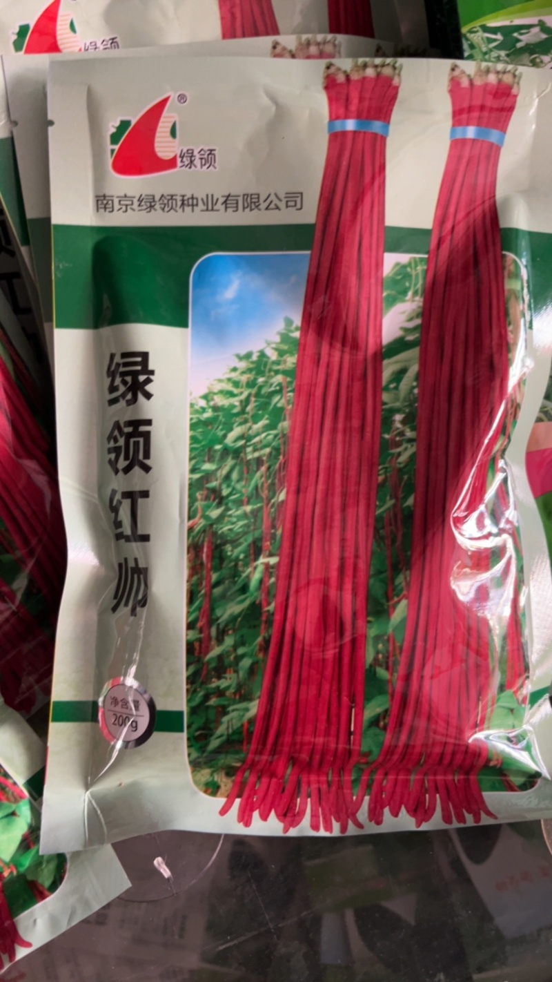 绿领红帅长豇豆角，适宜春夏秋播种。