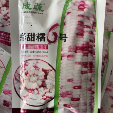 彩甜玉米彩色糯玉米