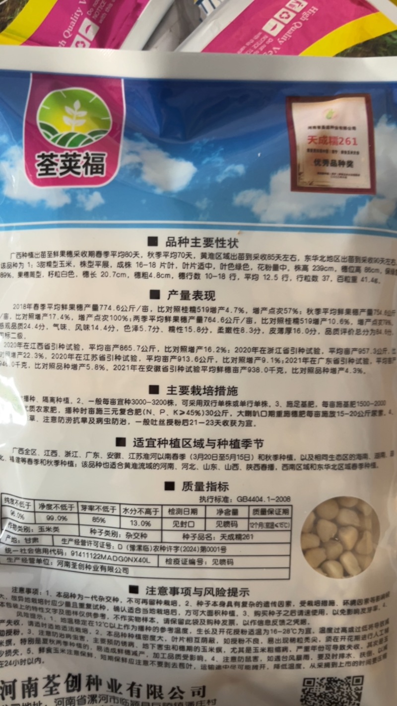 天成糯261白玉米