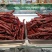 【包邮】正宗内蒙风干牛肉干牛肉粒全国发货量大从优