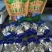 【包邮】正宗内蒙风干牛肉干牛肉粒全国发货量大从优