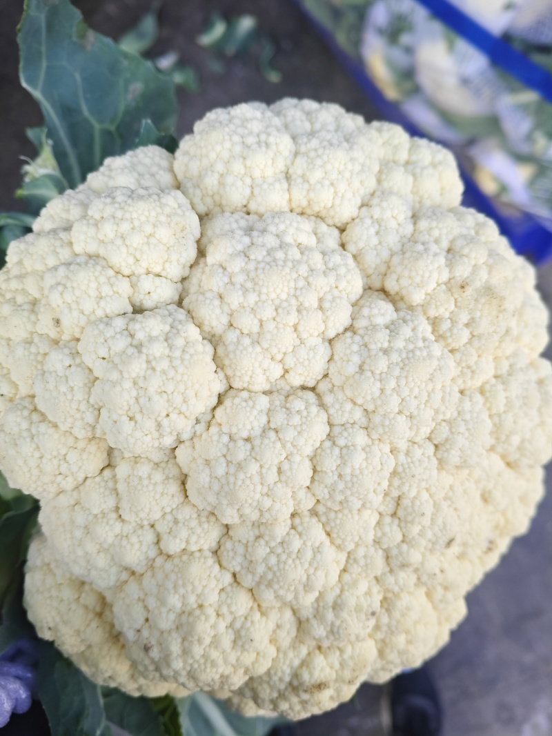 精品有机花菜青梗白面货源充足量大从优质量保证欢迎咨询