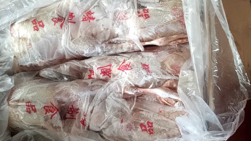 一级仔鹅全净膛19公斤一件5只装