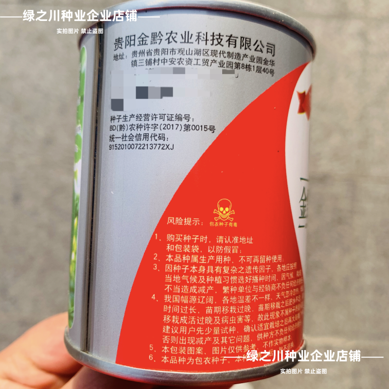 贵阳小青瓜种子一串玲南瓜种子瓜深绿色油亮韩国翠玉小瓜种籽