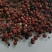 茜草种子
