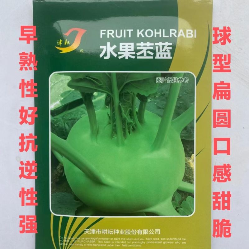 水果苤蓝早熟性好抗逆性强球形扁圆口感甜脆质优苤蓝种子