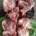 多肉小排