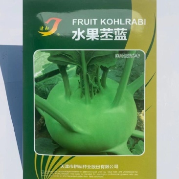 水果苤蓝早熟性好抗逆性强球形扁圆口感甜脆质优苤蓝种子