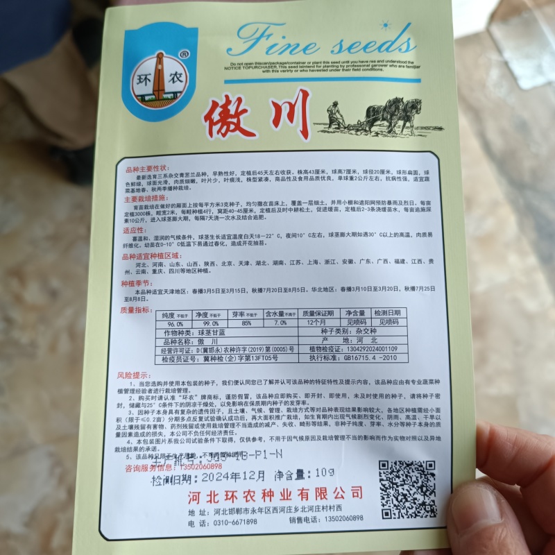 傲川苤蓝种子高产抗病三系杂交青苤蓝种籽四季蔬菜种孑春秋苤