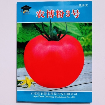 农博粉3号粉红色番茄种子耐热西红柿种子大果抗热无