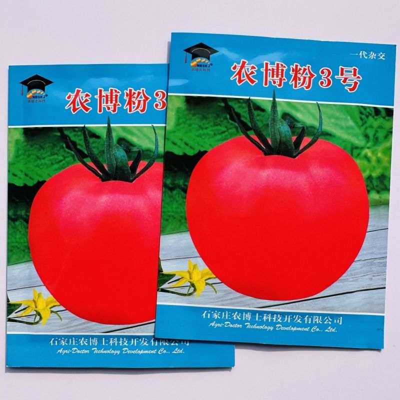 农博粉3号粉红色番茄种子耐热西红柿种子大果抗热无