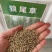 狼尾草种子厂家货源批发品质全国发货欢迎下单咨询