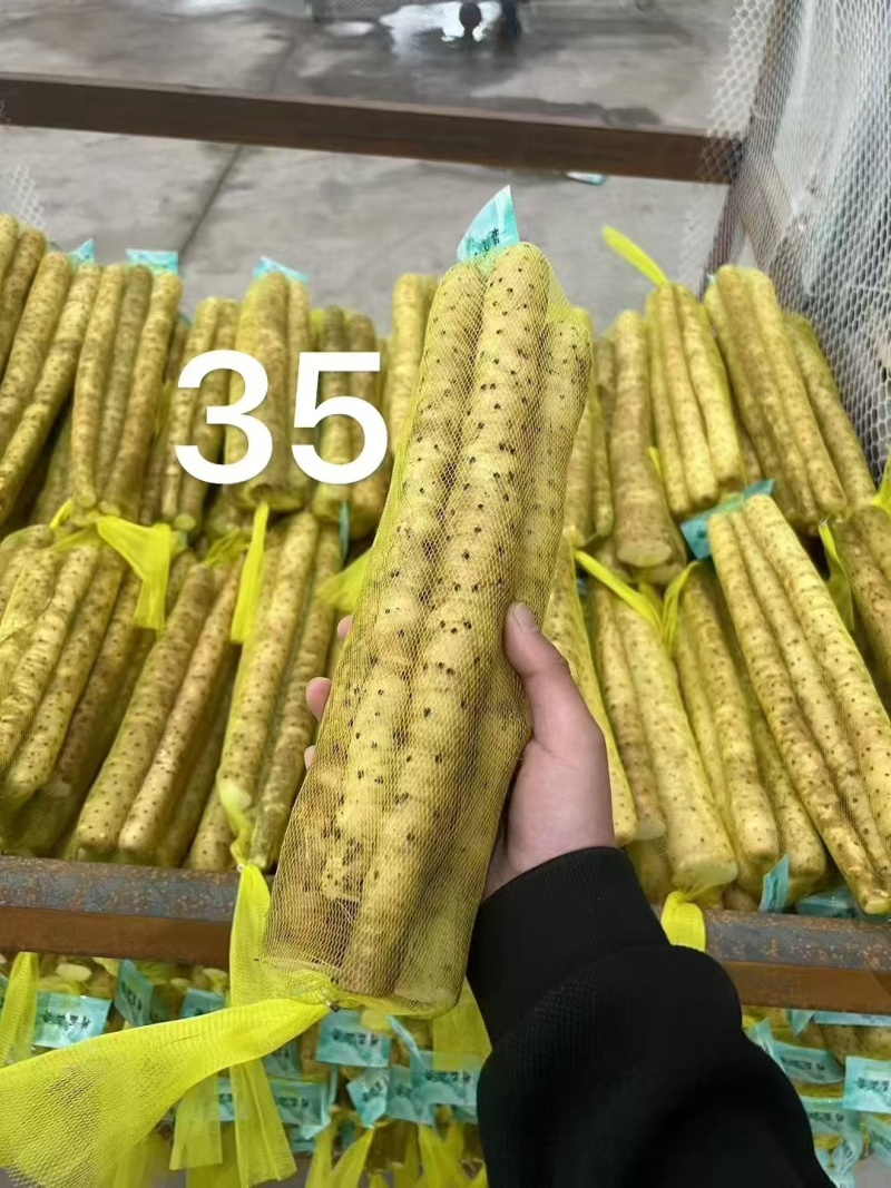 各种水洗网袋