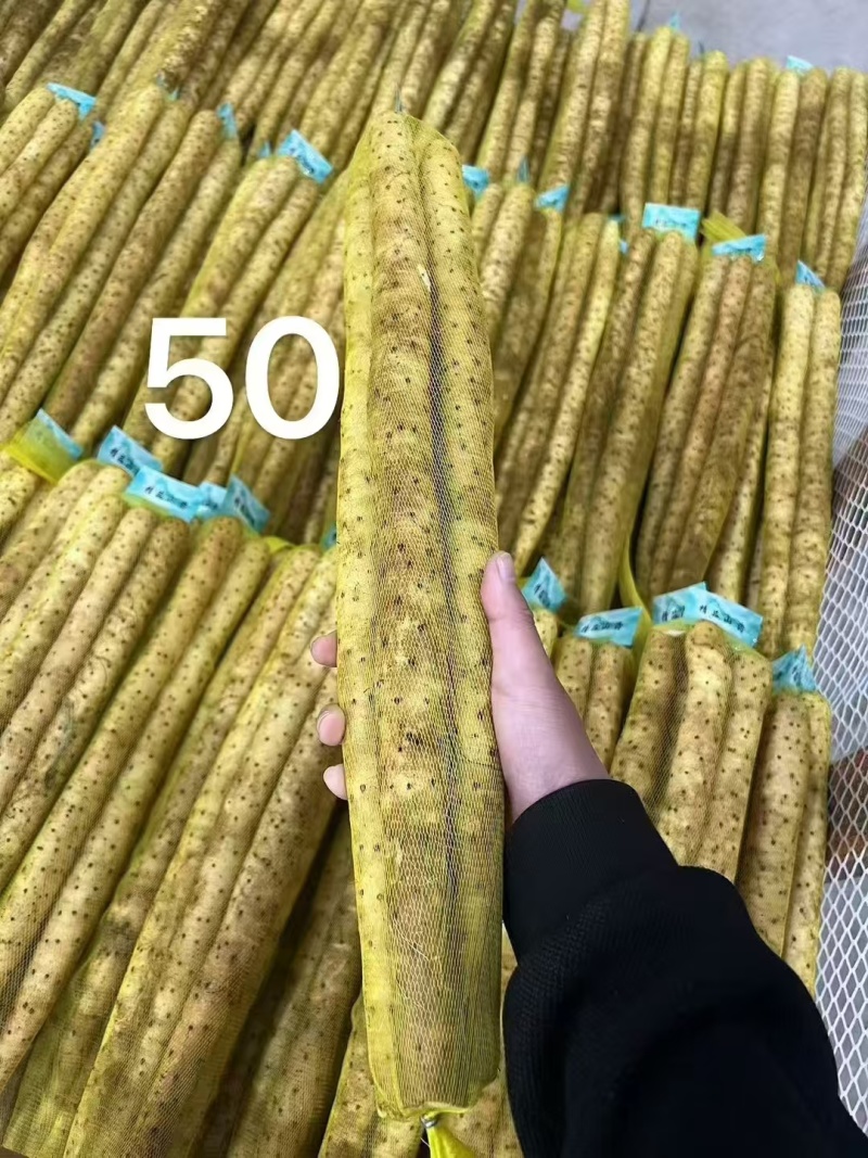 各种水洗网袋