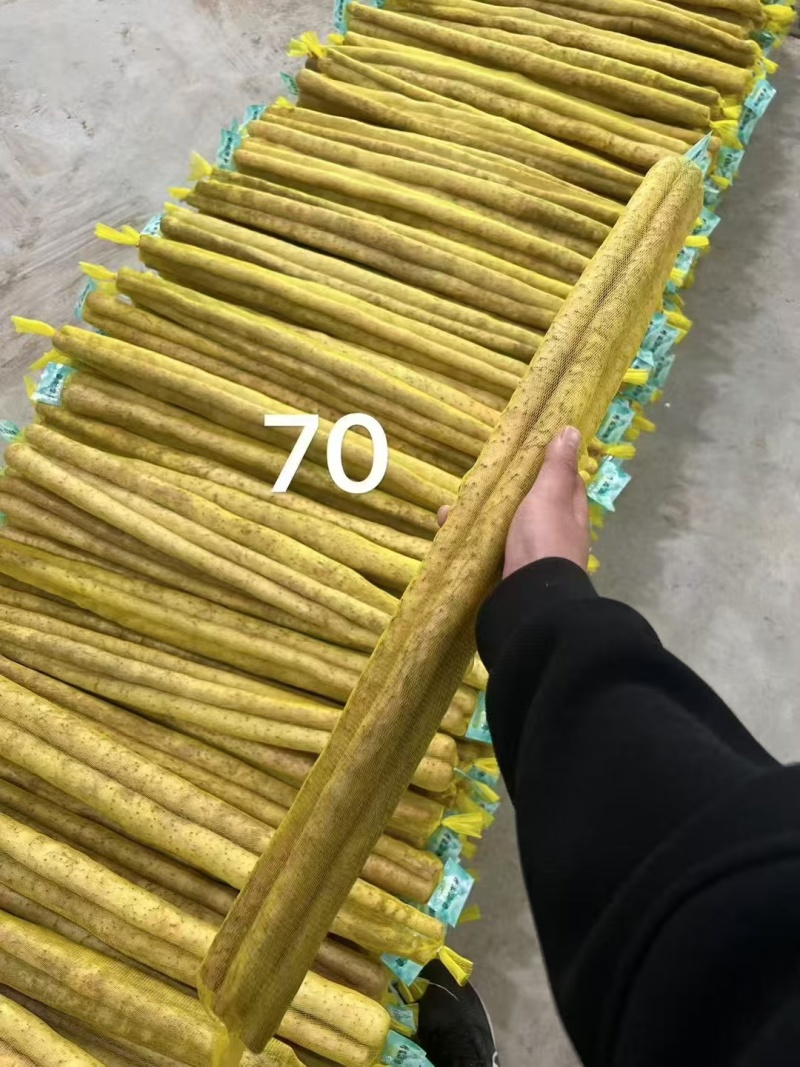 各种水洗网袋