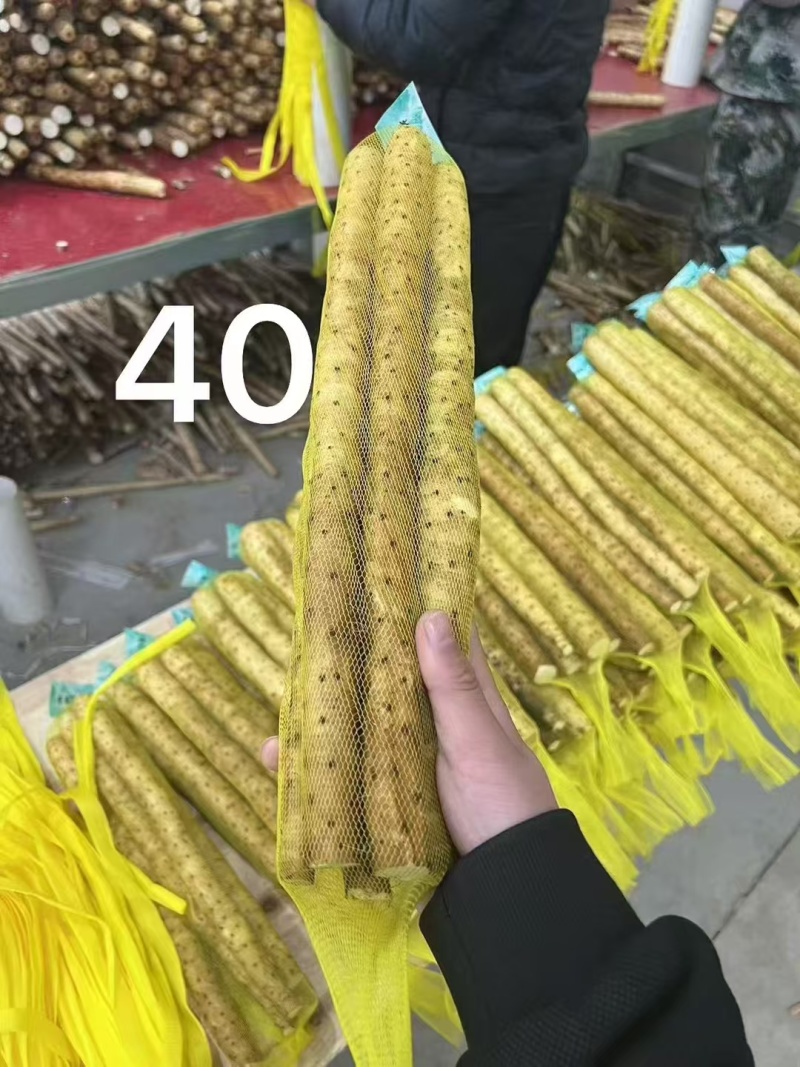 各种水洗网袋