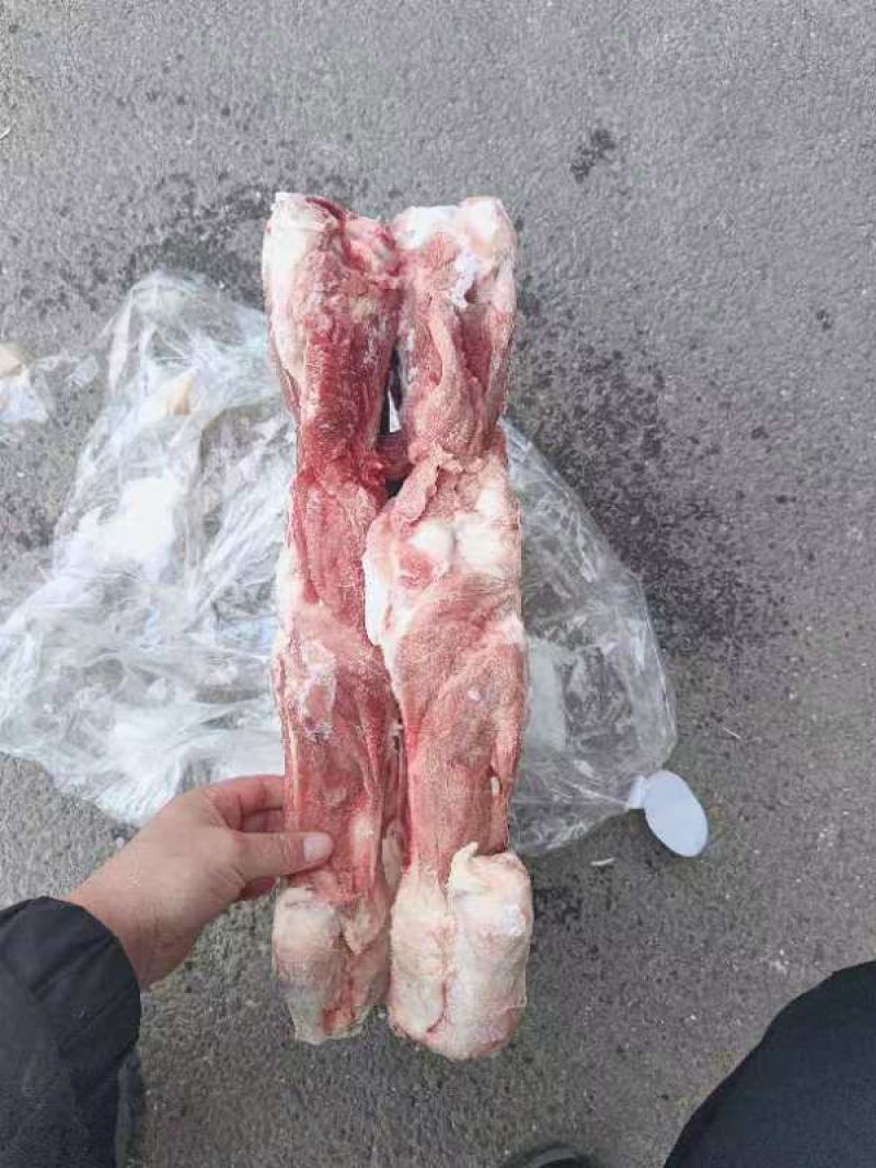 带肉30%后腿骨日期23年7/8/9月9000元