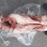 带肉30%后腿骨日期23年7/8/9月9000元