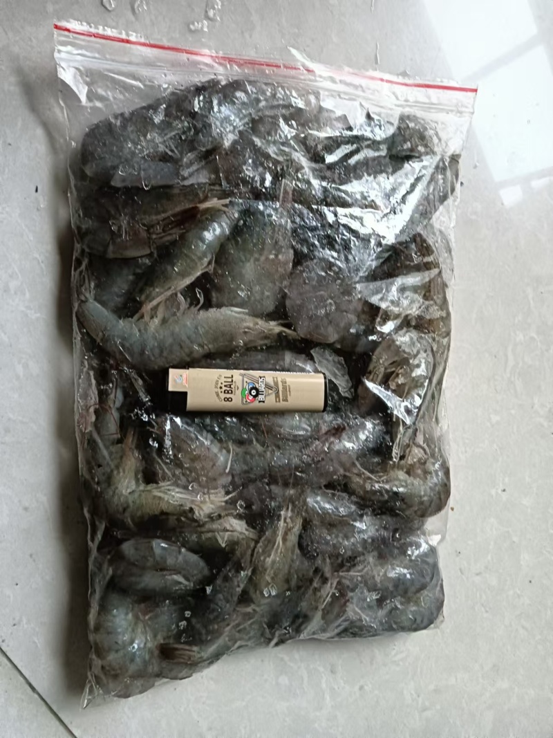 连云港白对虾来了，欢迎各位老板洽谈