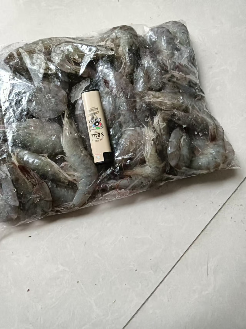 连云港白对虾来了，欢迎各位老板洽谈