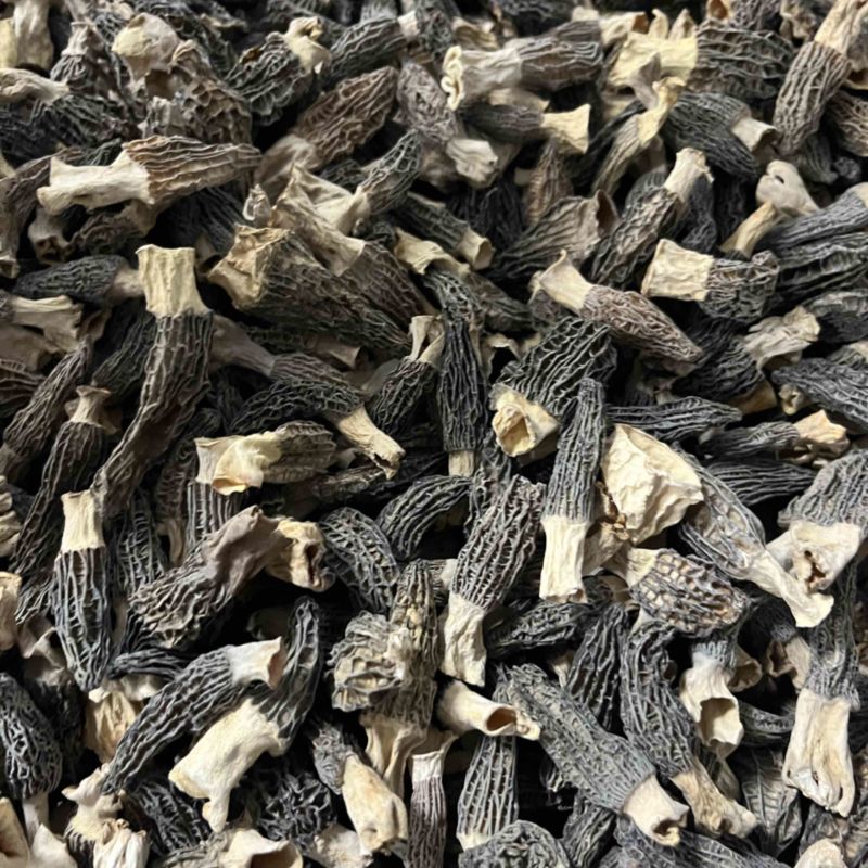 羊肚菌头茬厚肉1-3公分，宝宝菇