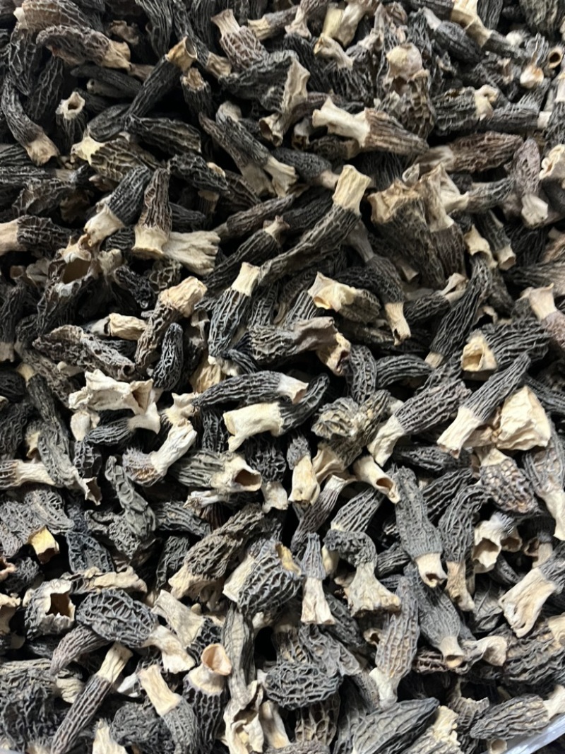 羊肚菌头茬厚肉1-3公分，宝宝菇