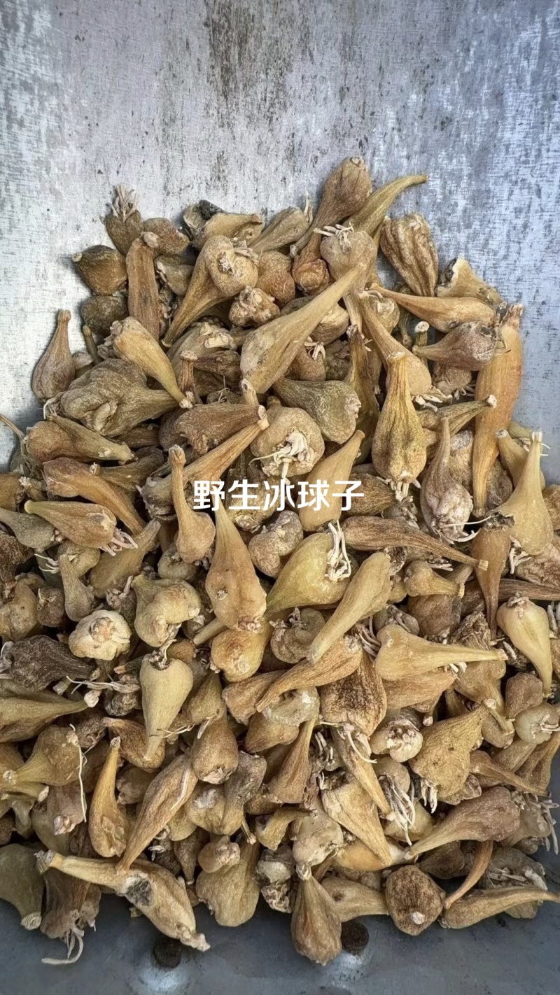 山慈菇国产干货2斤起包邮量大从优