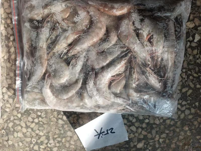 新鲜的南美白对虾