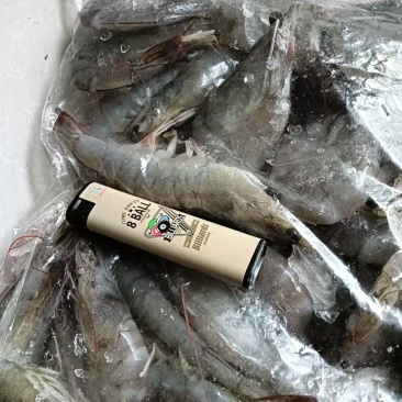 新鲜的南美白对虾