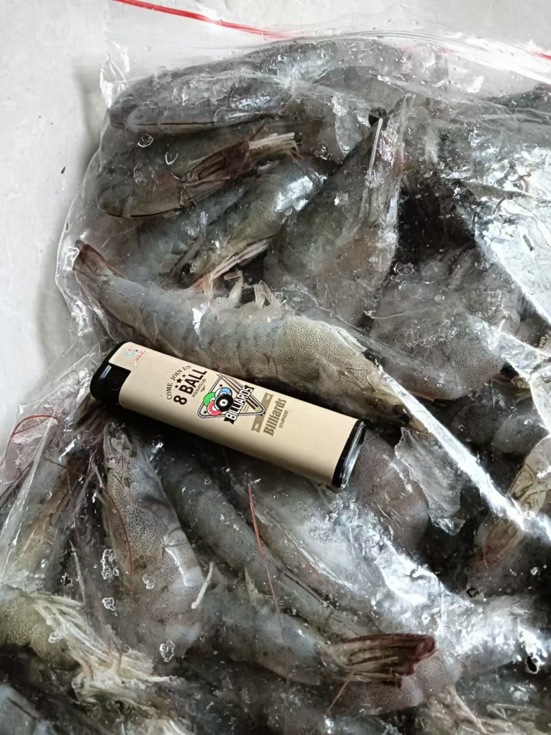 新鲜的南美白对虾