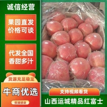 山西临猗坡上万荣红富士苹果纸加膜红富士膜袋红富士