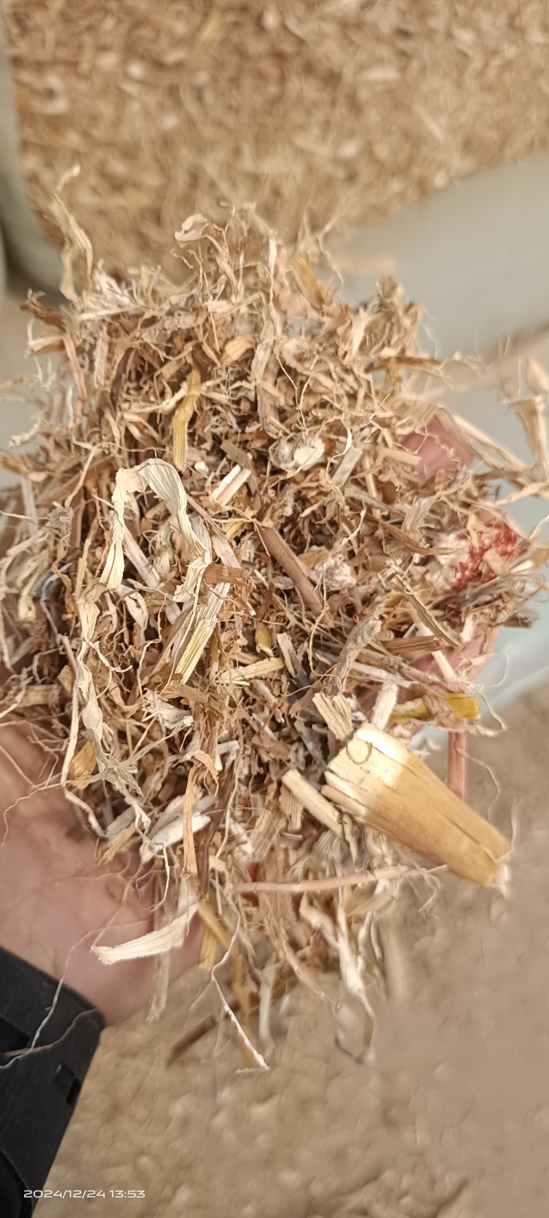 除尘揉丝玉米秸杆大量有货，欢迎养殖户光临选购