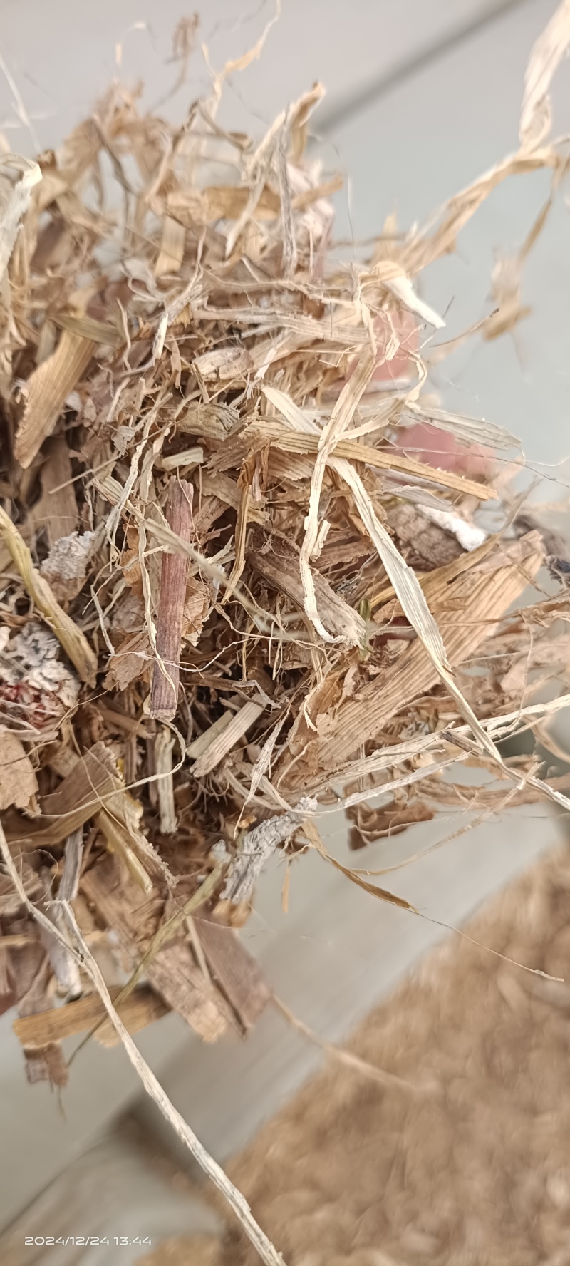 除尘揉丝玉米秸杆大量有货，欢迎养殖户光临选购
