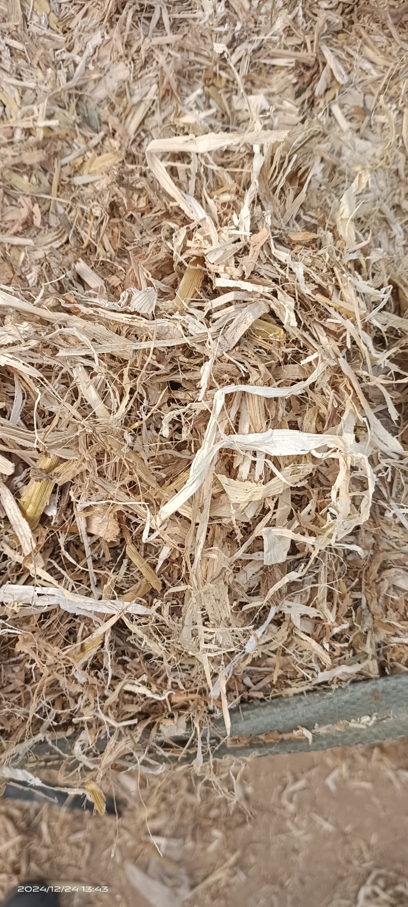 除尘揉丝玉米秸杆大量有货，欢迎养殖户光临选购