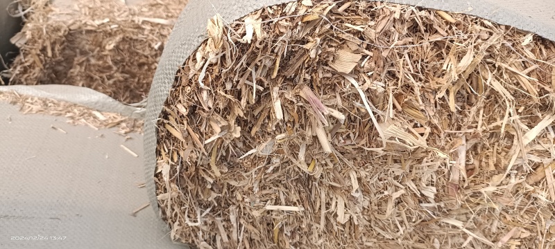 除尘揉丝玉米秸杆大量有货，欢迎养殖户光临选购