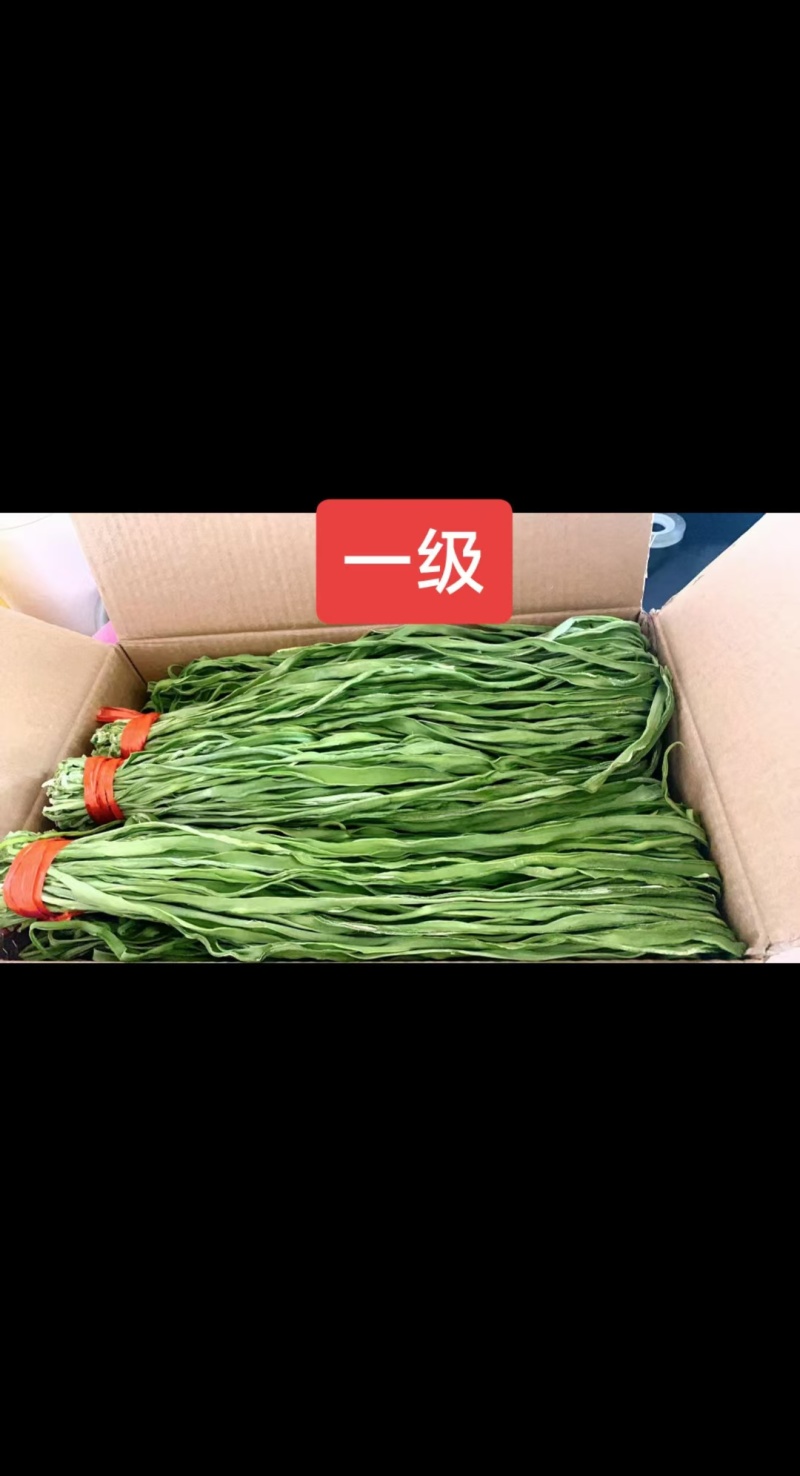 贡菜，产地直发，精品贡菜大量供应