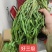 贡菜，产地直发，精品贡菜大量供应