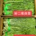 贡菜，产地直发，精品贡菜大量供应