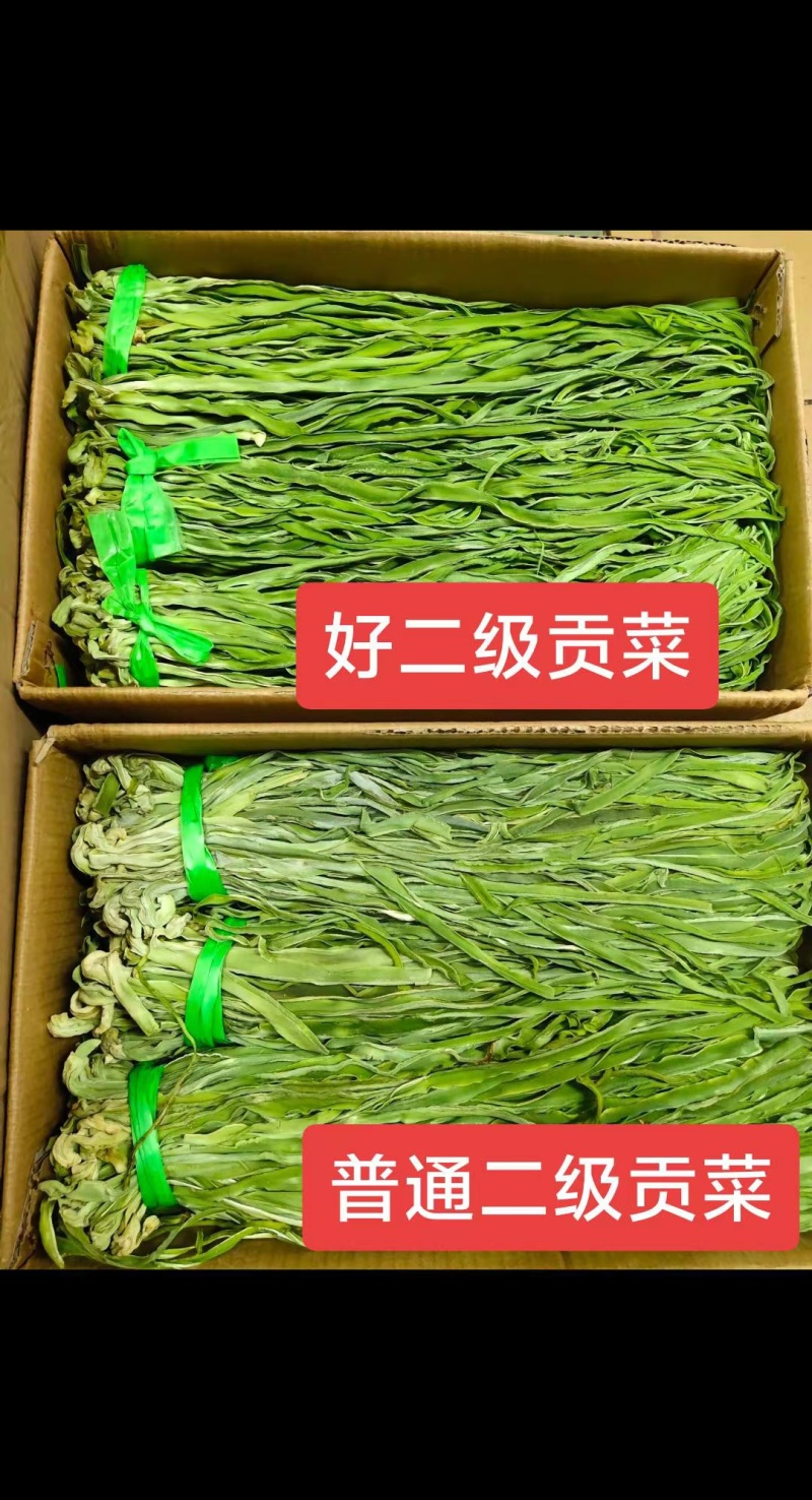 贡菜，产地直发，精品贡菜大量供应