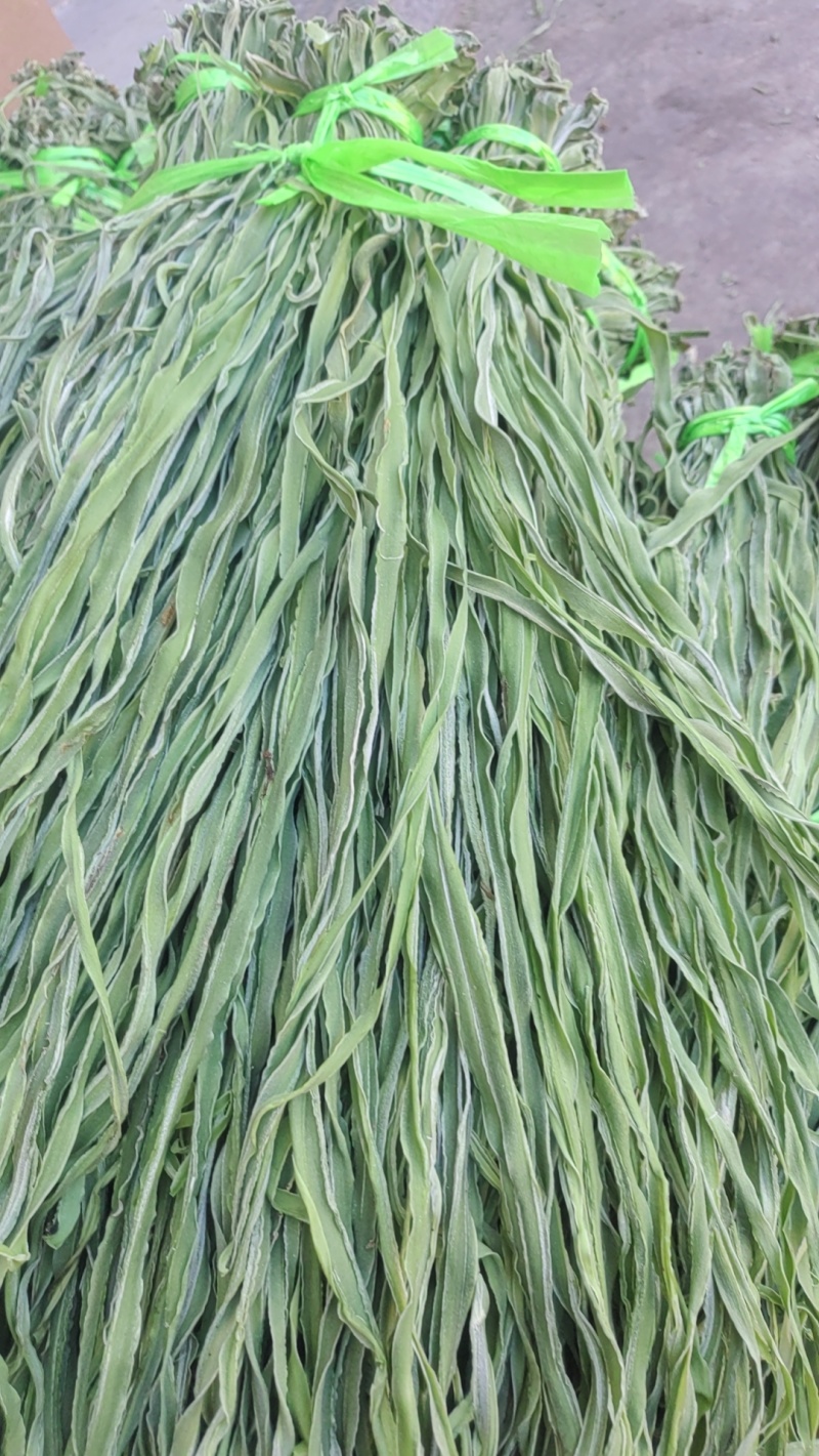贡菜，产地直发，精品贡菜大量供应